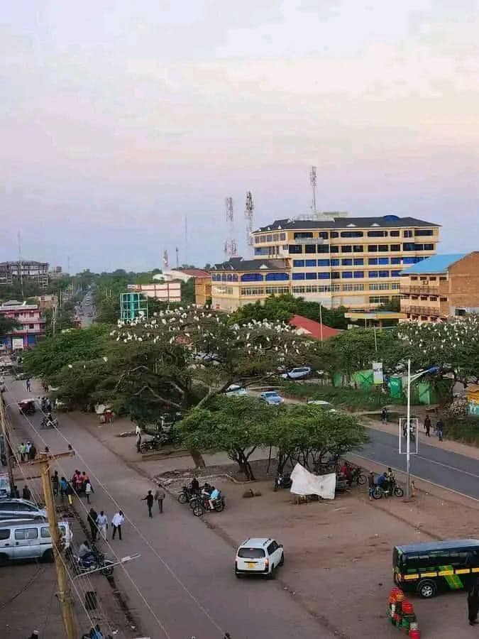 Tiro Dad ah oo Lagu Dilay Siyeelow oo Kamid ah Dhulka Soomaaliyeed ee Kenya Gumeysato.