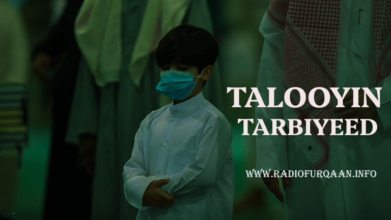 Taxane: Talooyin Tarbiyeed- 04.